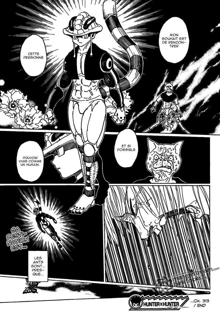 Hunter X Hunter Chapitre 313 page 14