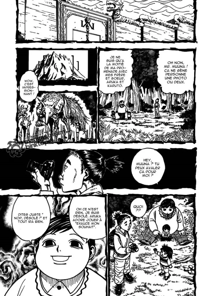 Hunter X Hunter Chapitre 323 page 3