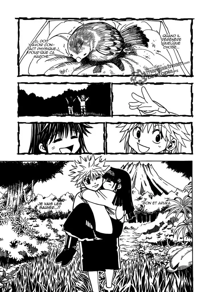 Hunter X Hunter Chapitre 324 page 9