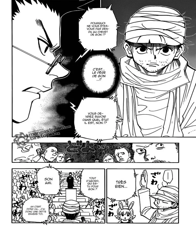 Hunter X Hunter Chapitre 325 page 13