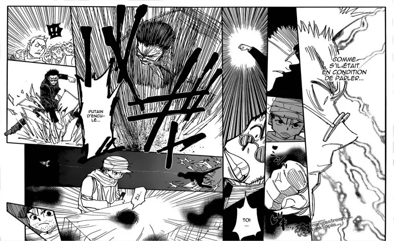 Hunter X Hunter Chapitre 325 page 15