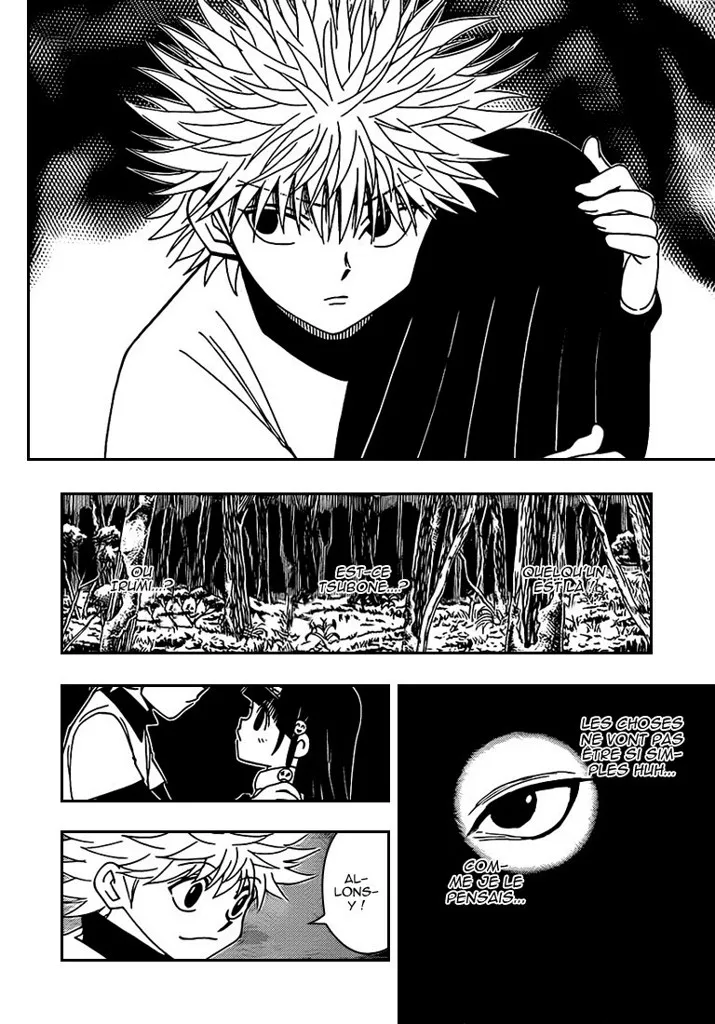 Hunter X Hunter Chapitre 327 page 6
