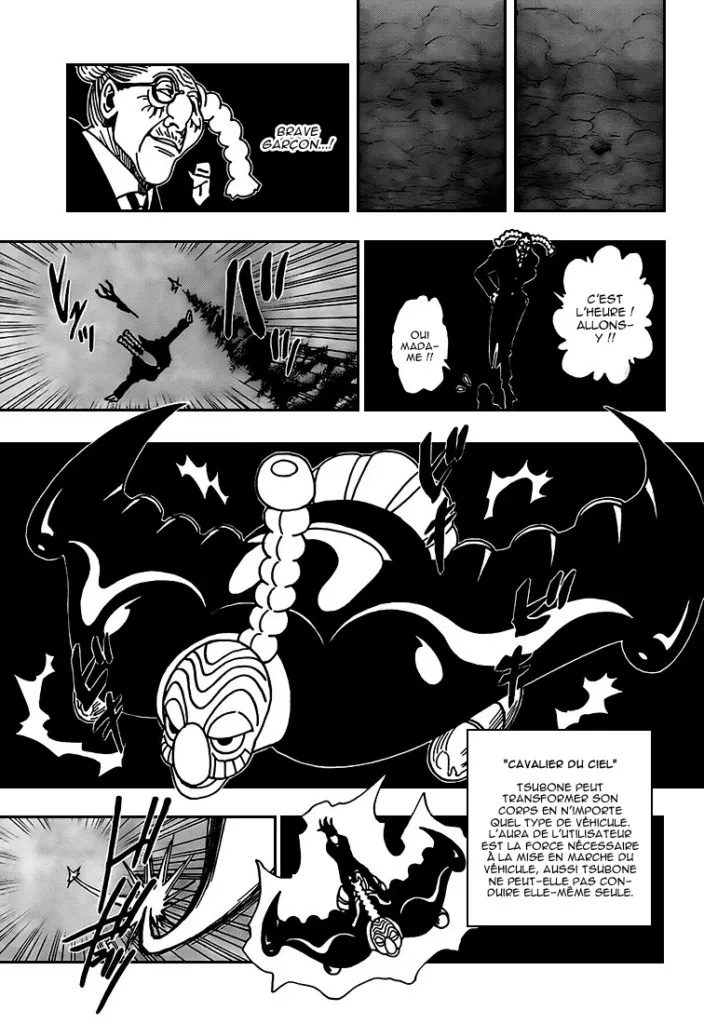 Hunter X Hunter Chapitre 329 page 8