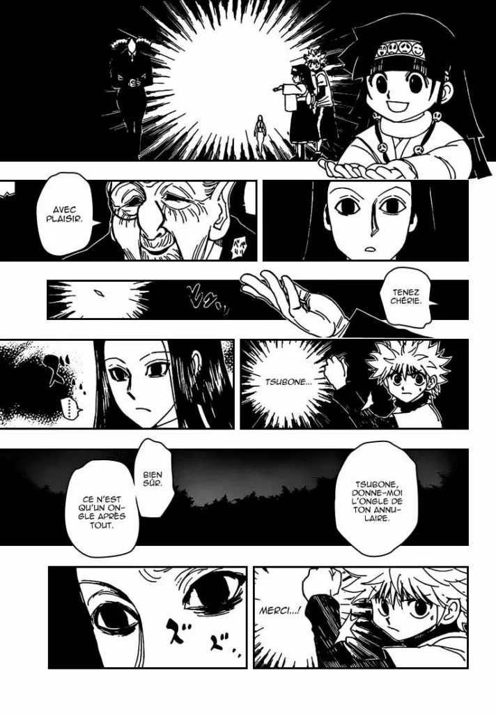 Hunter X Hunter Chapitre 330 page 6