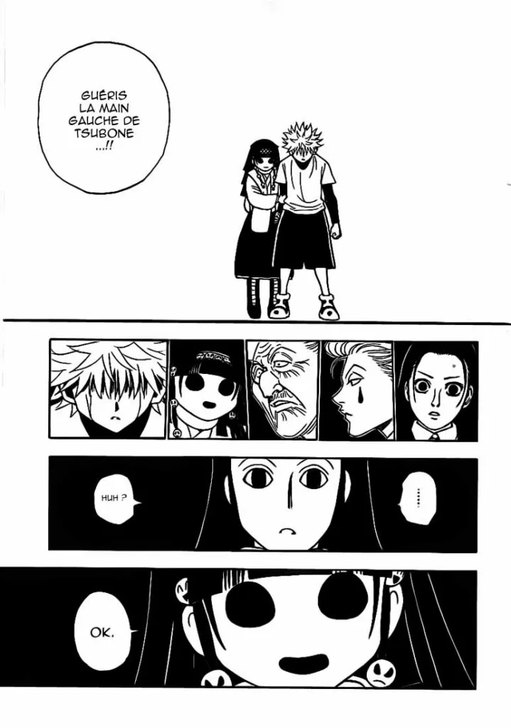Hunter X Hunter Chapitre 330 page 10