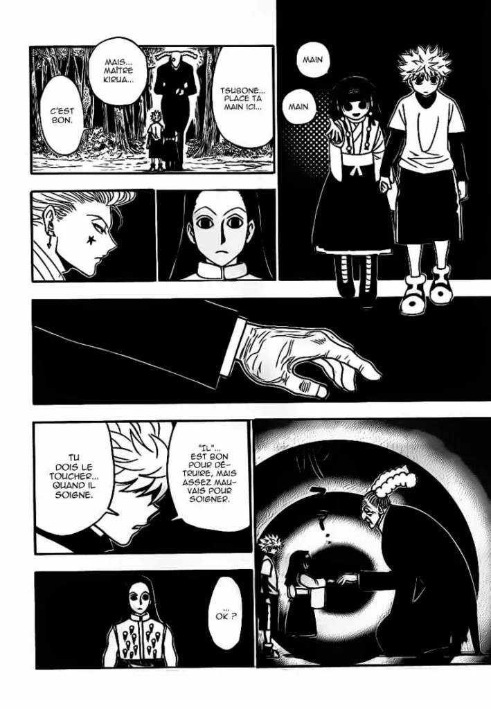 Hunter X Hunter Chapitre 330 page 11