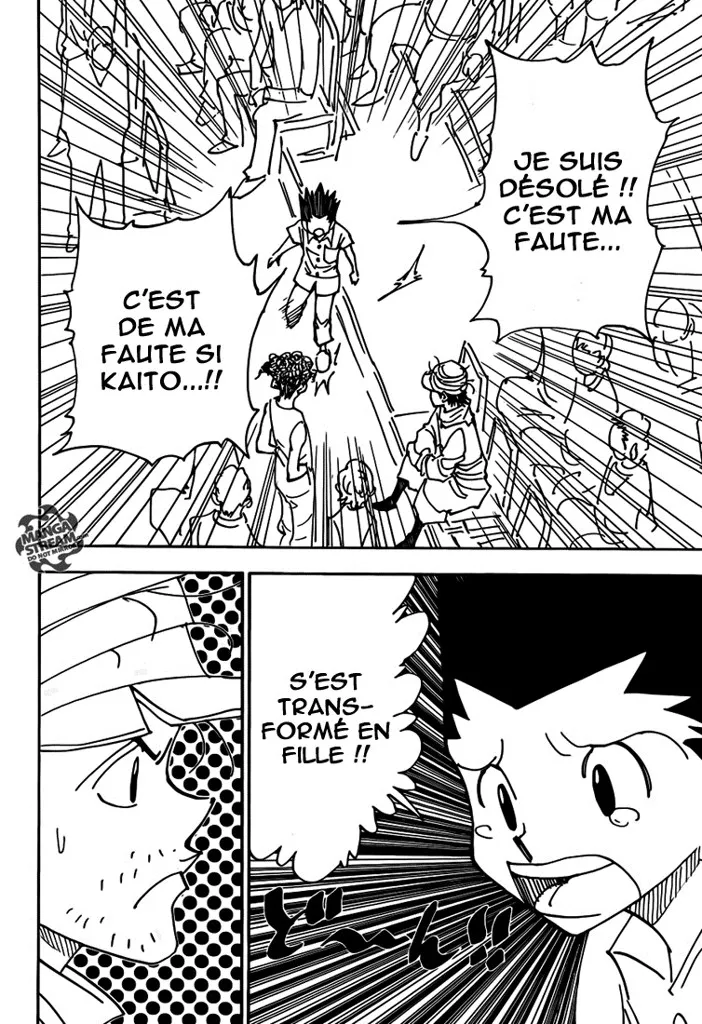 Hunter X Hunter Chapitre 335 page 2