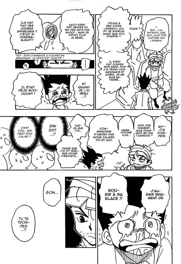 Hunter X Hunter Chapitre 335 page 3