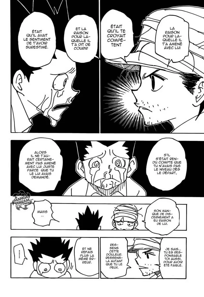 Hunter X Hunter Chapitre 335 page 4