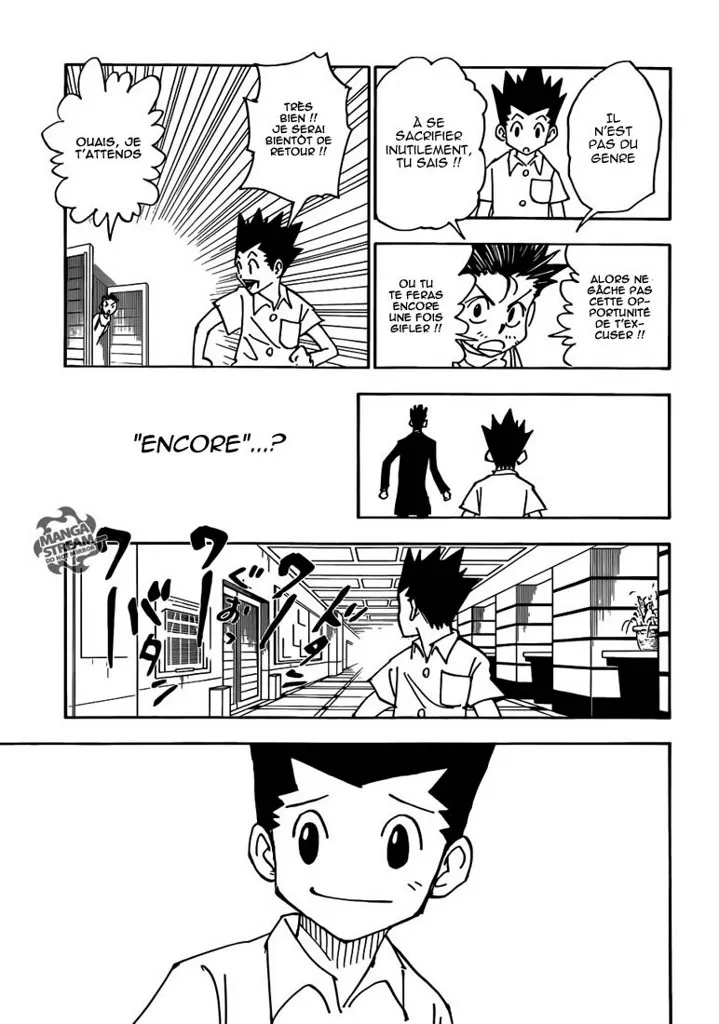 Hunter X Hunter Chapitre 335 page 13