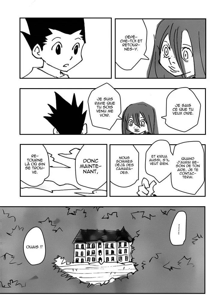 Hunter X Hunter Chapitre 337 page 17