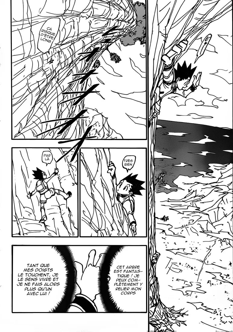 Hunter X Hunter Chapitre 338 page 8