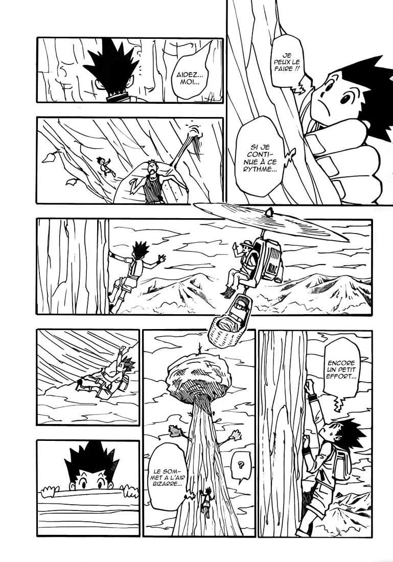 Hunter X Hunter Chapitre 339 page 10