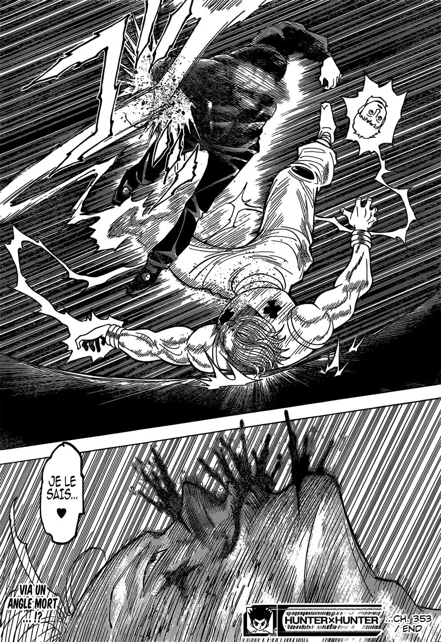 Hunter X Hunter Chapitre 353 page 19