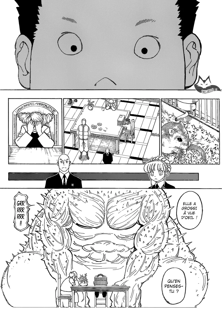 Hunter X Hunter Chapitre 372 page 4
