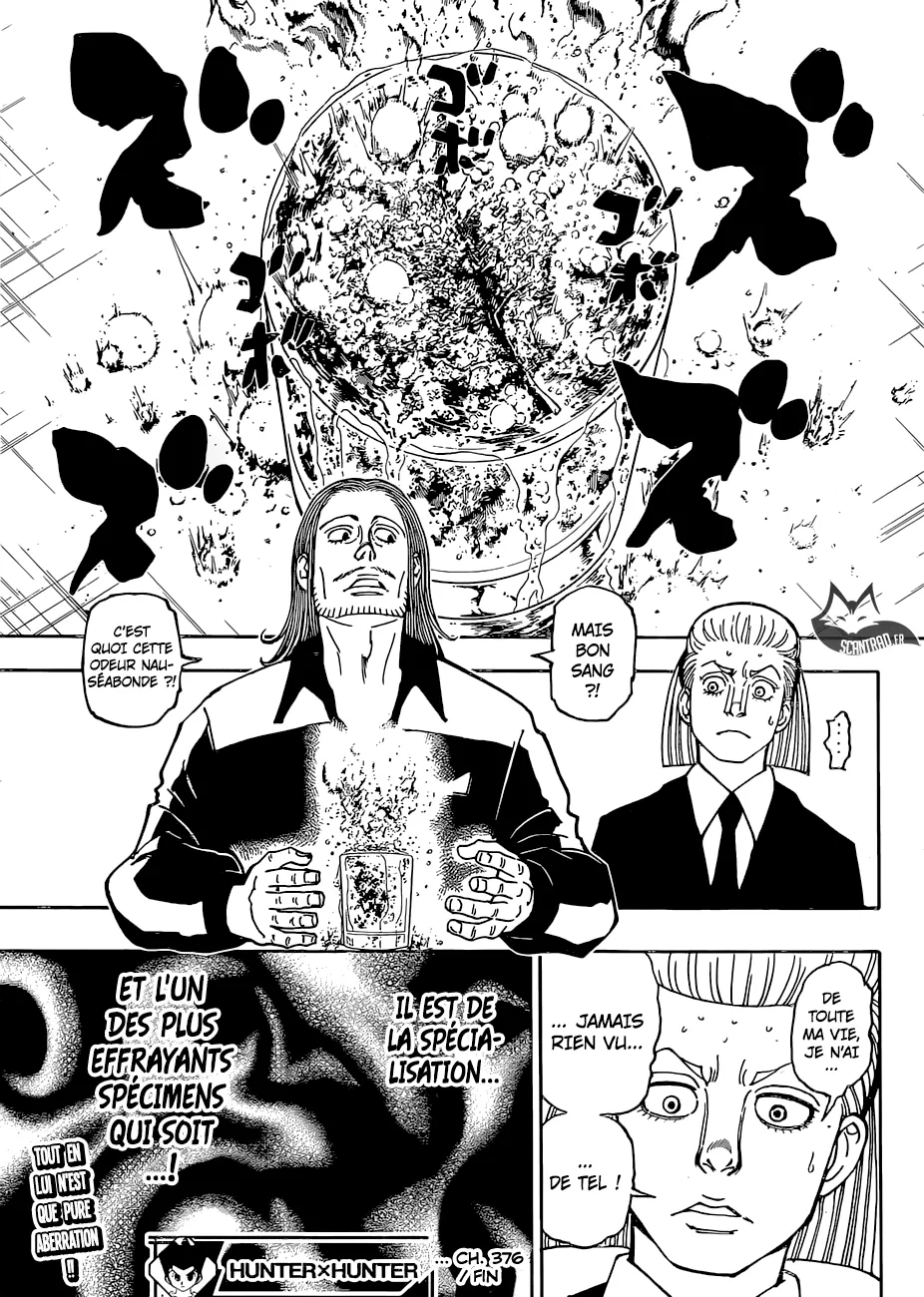 Hunter X Hunter Chapitre 376 page 19